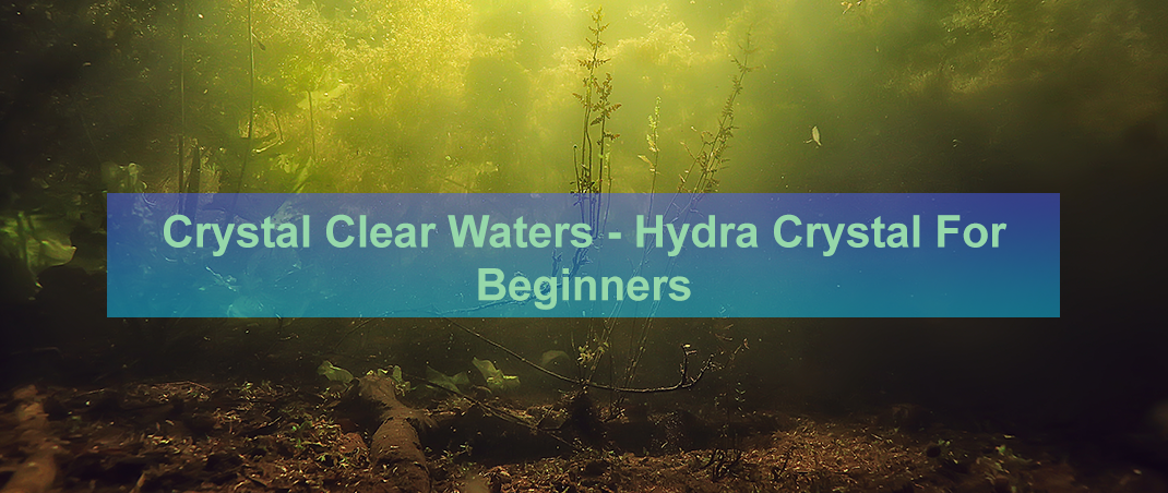 How To Keep Algae Out of Your Pond - Crystal For Beginners